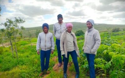 Fynbos @ !Khwa ttu – plant knowledges in the Cape Floral Kingdom