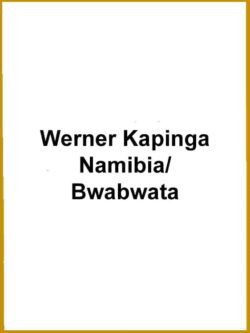 Werner Kapinga